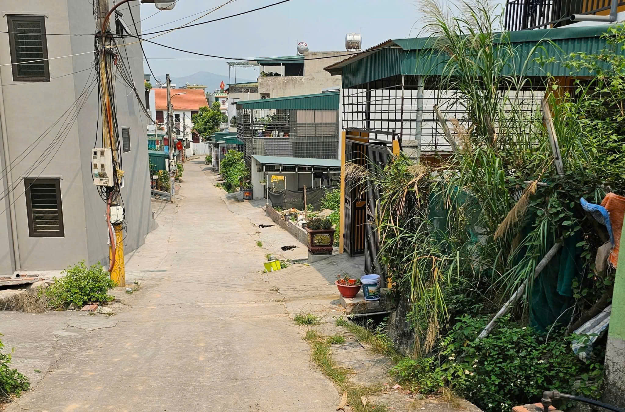 mời các bác tranh thủ mua đất trước khi Quảng Ninh lên thành phố